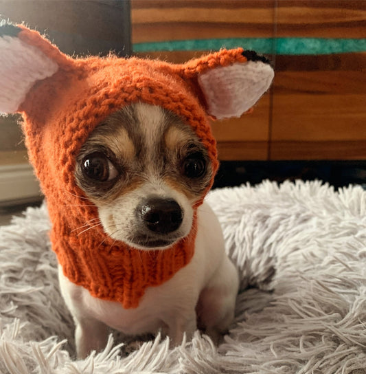 Fancy Crocheted Pet Snood #jimmythefox - The Flannel Couch