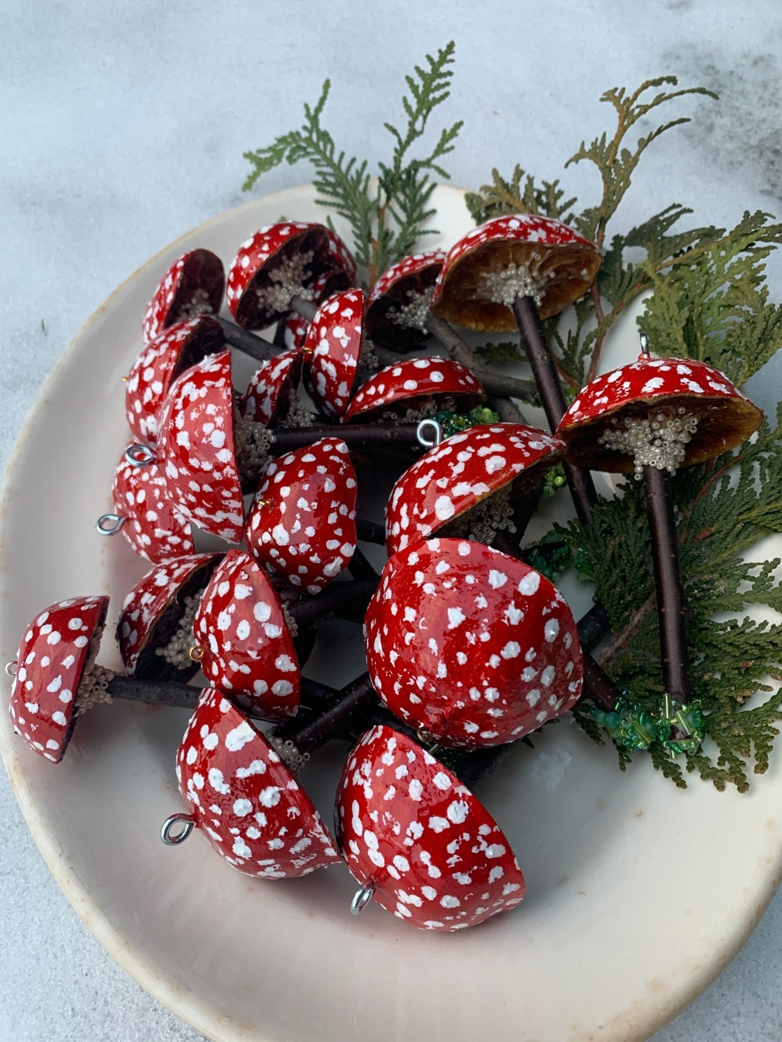 Farmhouse Fungi - The Flannel Couch
