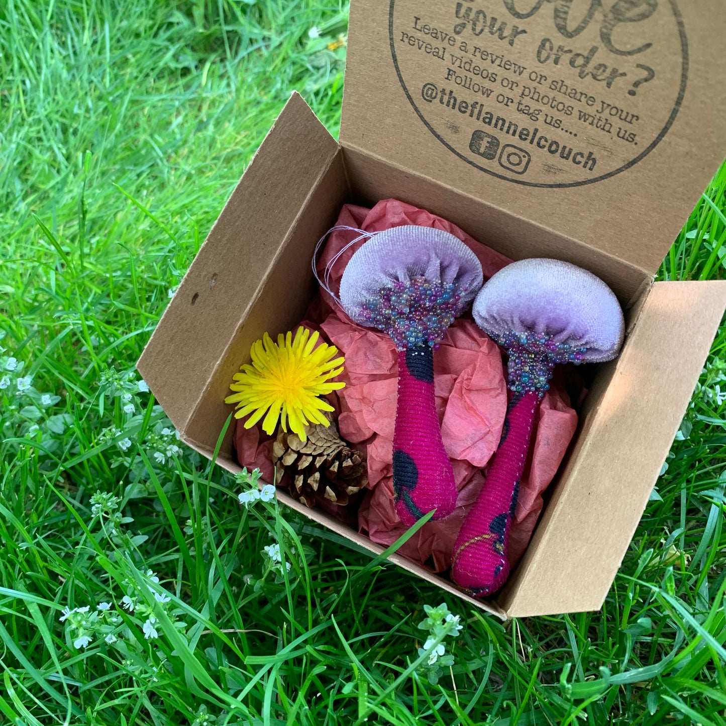 BFF Mushroom Box Set 🍄🍄