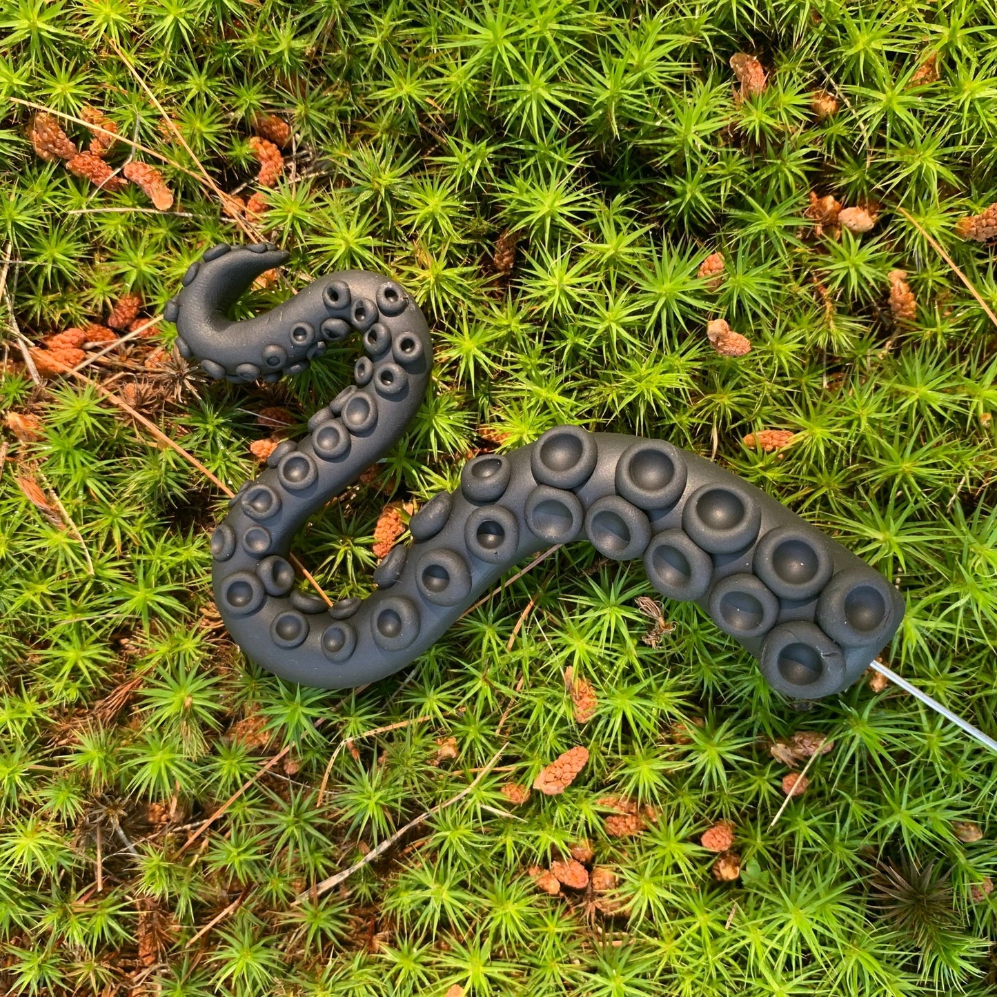 Kraken Polymer Clay #plantspike - The Flannel Couch