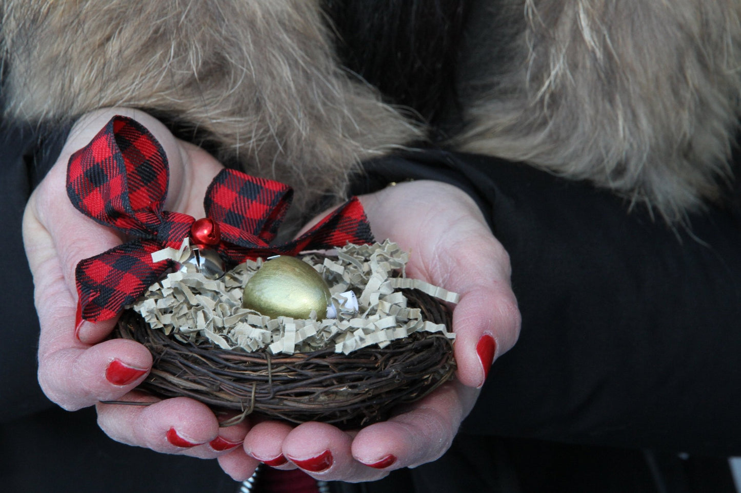 Nature Inspired Reveal Eggs Messages - The Flannel Couch
