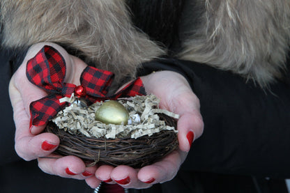 Nature Inspired Reveal Eggs Messages - The Flannel Couch