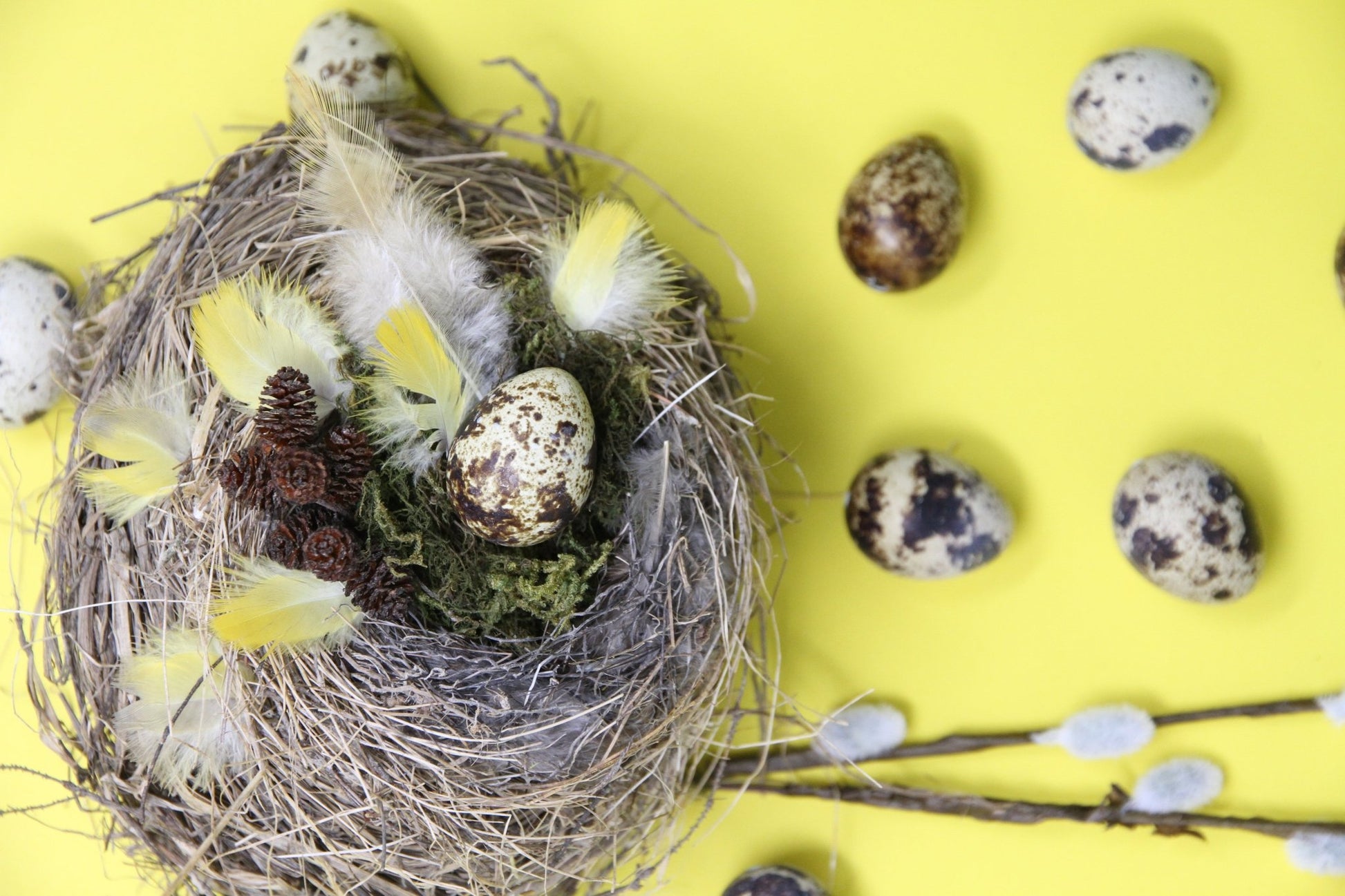Nature Inspired Reveal Eggs Messages - The Flannel Couch